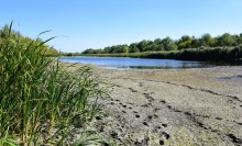 Донские старицы и ерики