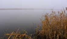 Донские старицы и ерики