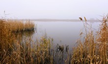 Донские старицы и ерики