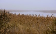 Донские старицы и ерики