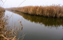 Донские старицы и ерики