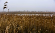 Донские старицы и ерики