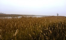 Донские старицы и ерики