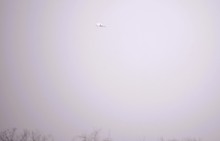 Донские старицы и ерики