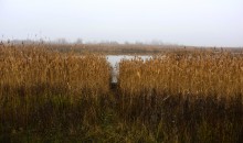 Донские старицы и ерики