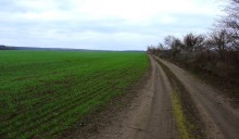 Грунтовки поздней осенью