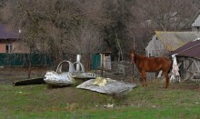 Лошадь и планер в хуторе Коныгин