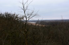 Урочище Огиб на Северском Донце