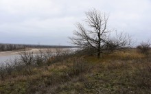 Урочище Огиб на Северском Донце