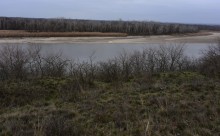 Урочище Огиб на Северском Донце