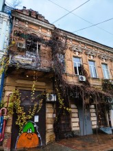 Старая виноградная лоза на Шаумяна