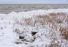 Декабрьский ветреный и морозный день на берегу Азовского моря в селе Займо-Обрыв