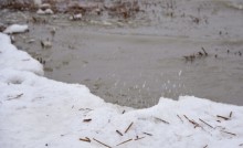 Декабрьский ветреный и морозный день на берегу Азовского моря в селе Займо-Обрыв