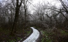 Декабрьский снег на Миусе