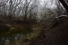 Тихий декабрьский снег у слиянии Миуса и Крынки