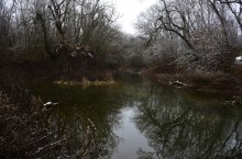 Тихий декабрьский снег у слиянии Миуса и Крынки