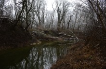 Тихий декабрьский снег у слиянии Миуса и Крынки