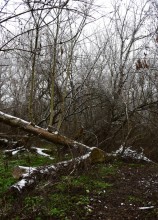 Тихий декабрьский снег у слиянии Миуса и Крынки
