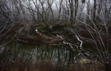 Тихий декабрьский снег у слиянии Миуса и Крынки