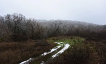 Декабрьский снег на Миусе