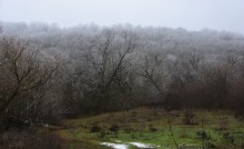 Декабрьский снег на Миусе