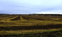 Оттепель в Маныческих степях