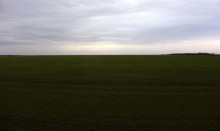 Оттепель в Маныческих степях