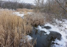 От Пухляковского через Каныгин, Виноградный и Ольховский до Нижнекундрюченской