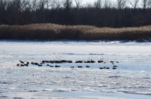 Стрелка Дона и Аксая в Крещенские морозы