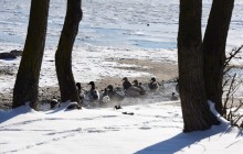 Стрелка Дона и Аксая в Крещенские морозы