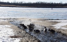 Стрелка Дона и Аксая в Крещенские морозы