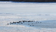 Стрелка Дона и Аксая в Крещенские морозы