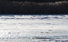 Стрелка Дона и Аксая в Крещенские морозы