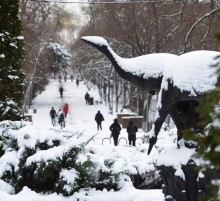 Снежная и морозная зима 2026 в Ростове-на-Дону 