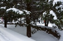 Снежная и морозная зима 2026 в Ростове-на-Дону 