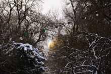 Снежная и морозная зима 2026 в Ростове-на-Дону 