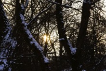 Снежная и морозная зима 2026 в Ростове-на-Дону 