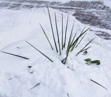 Снежная и морозная зима 2026 в Ростове-на-Дону 