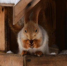 Снежная и морозная зима 2026 в Ростове-на-Дону 