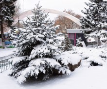 Снежная и морозная зима 2026 в Ростове-на-Дону 