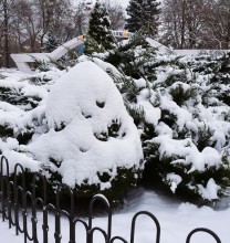 Снежная и морозная зима 2026 в Ростове-на-Дону 