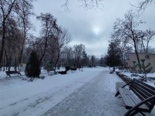 Центральная аллея парка Островского