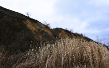 Нижнепалеолитические местонахождения Хрящи и Михайловское, расположенные в устье Северского Донца 