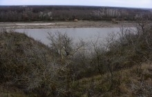 Нижнепалеолитические местонахождения Хрящи и Михайловское, расположенные в устье Северского Донца 