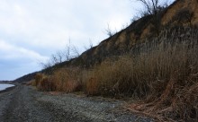 Нижнепалеолитические местонахождения Хрящи и Михайловское, расположенные в устье Северского Донца 