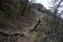 Нижнепалеолитические местонахождения Хрящи и Михайловское, расположенные в устье Северского Донца 