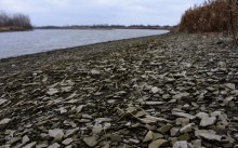 Нижнепалеолитические местонахождения Хрящи и Михайловское, расположенные в устье Северского Донца 