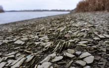 Нижнепалеолитические местонахождения Хрящи и Михайловское, расположенные в устье Северского Донца 
