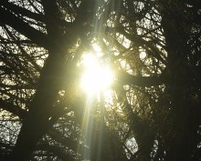 Стрелка Дона и Аксая в самый холодный день в году