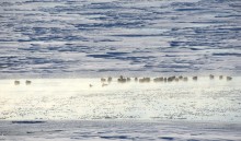 Стрелка Дона и Аксая в самый холодный день в году